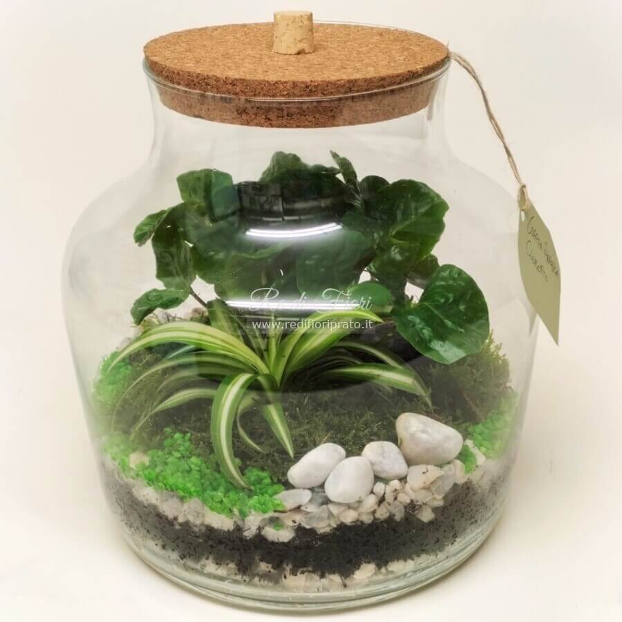 Terrarium A002 Terrarium A002