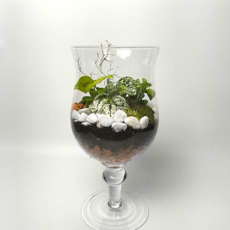 Terrario Calice Terrario Calice