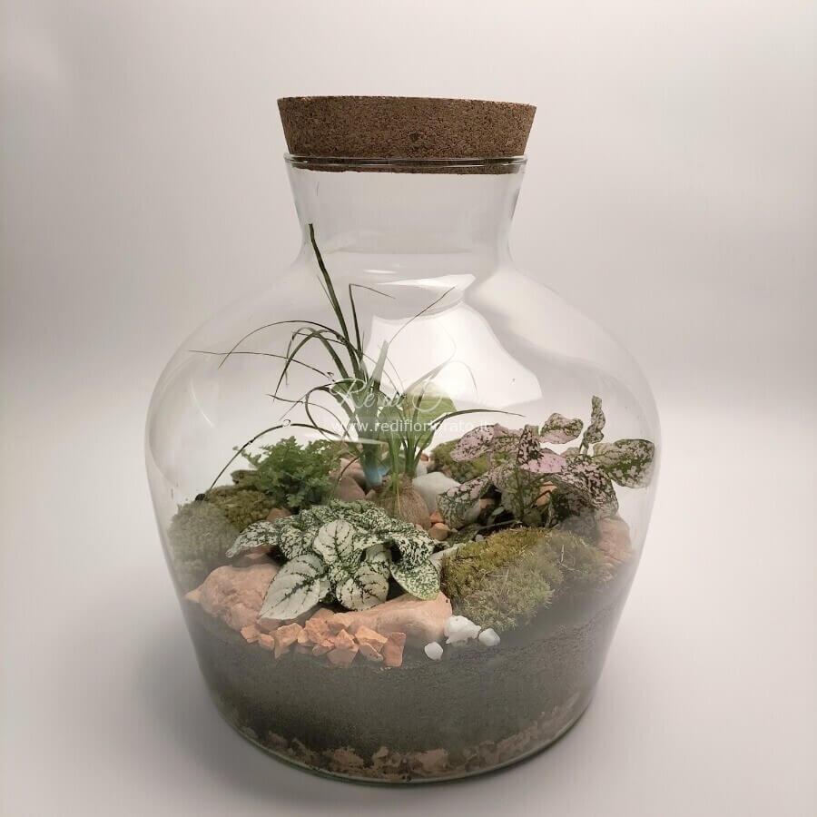 Terrario 203 Terrario 203