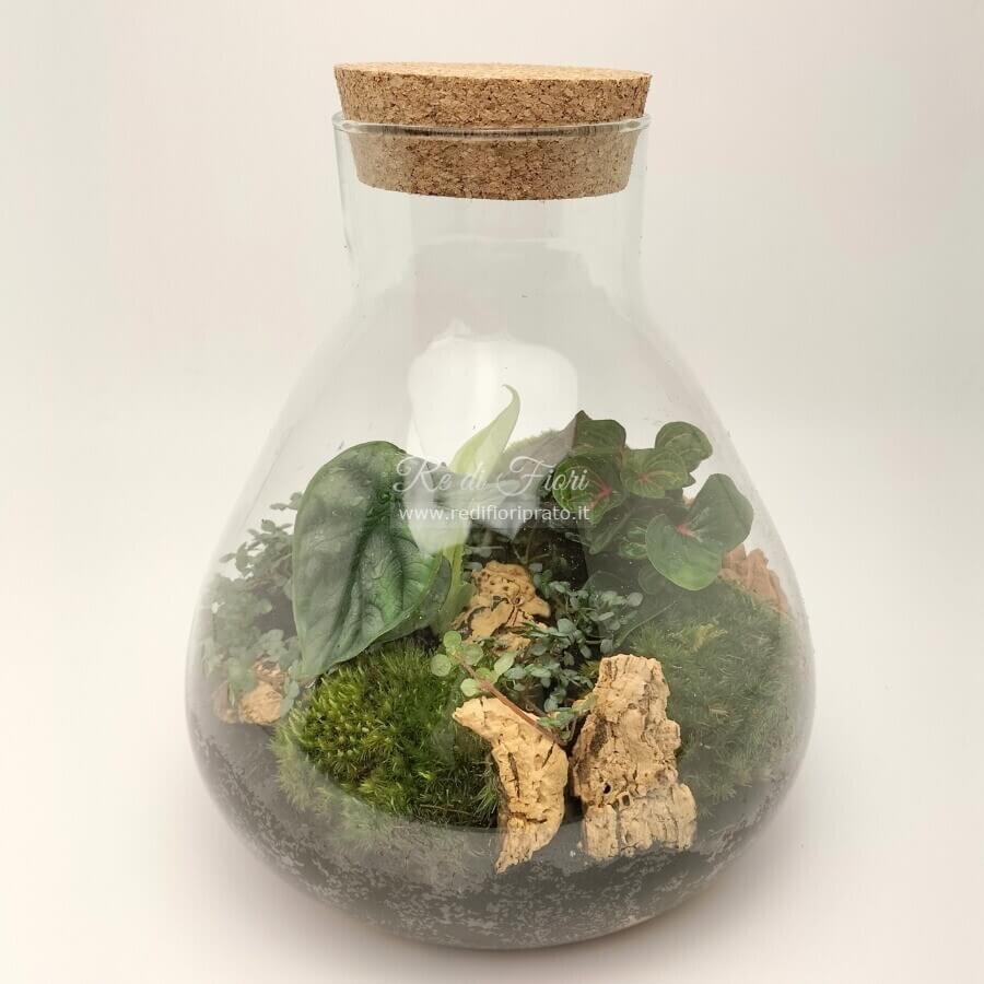 Terrario 403 Terrario 403