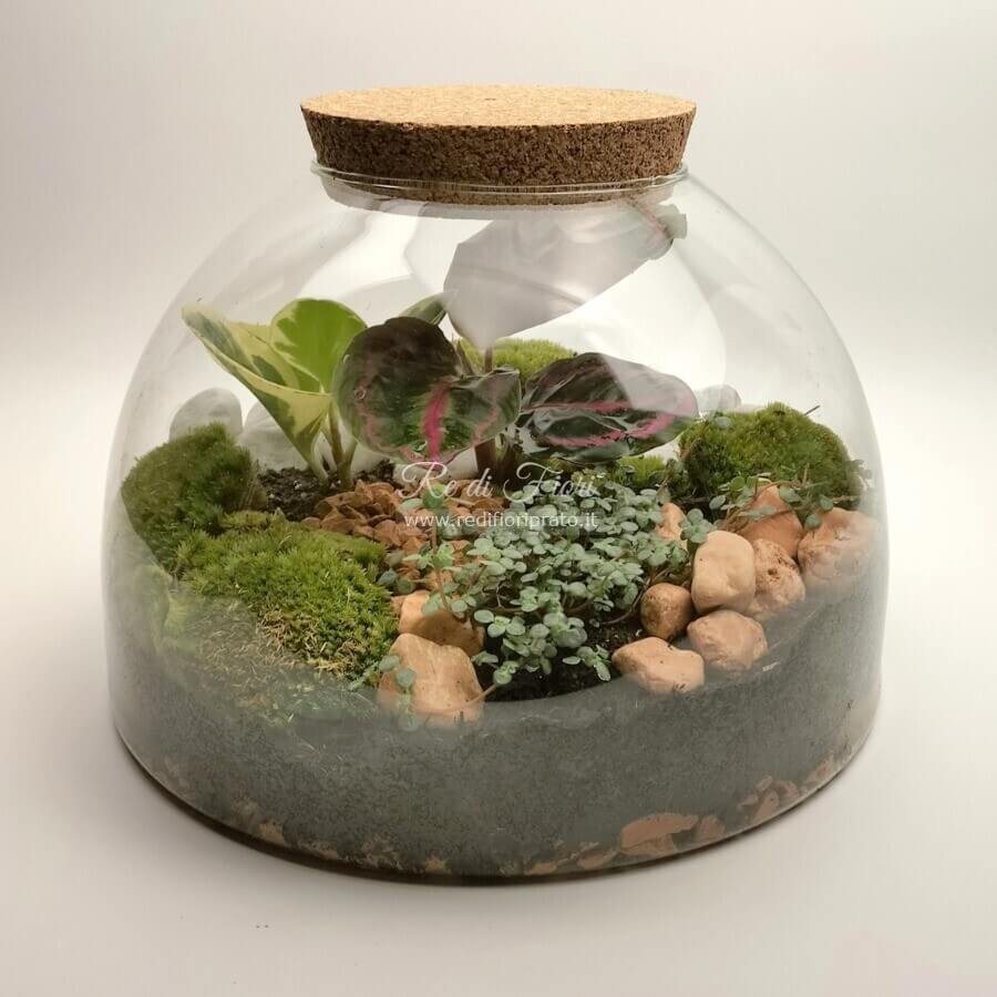 Terrario semisfera 402 Terrario semisfera 402