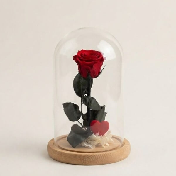 La Rosa de "La Bella e la Bestia" | Rosa Stabilizzata