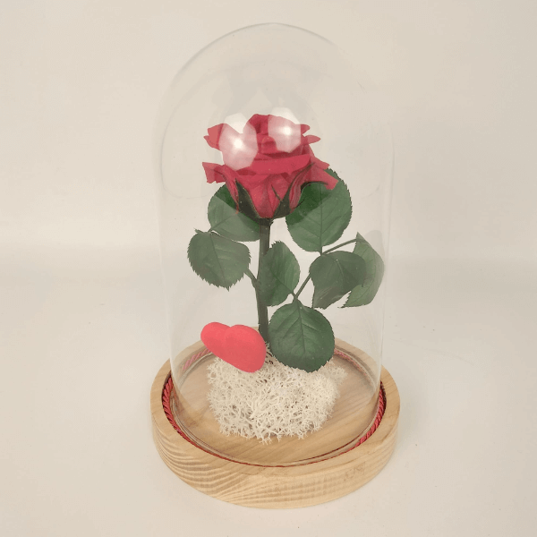 La Rosa de "La Bella e la Bestia" | Rosa Stabilizzata La Rosa de "La Bella e la Bestia" | Rosa Stabilizzata