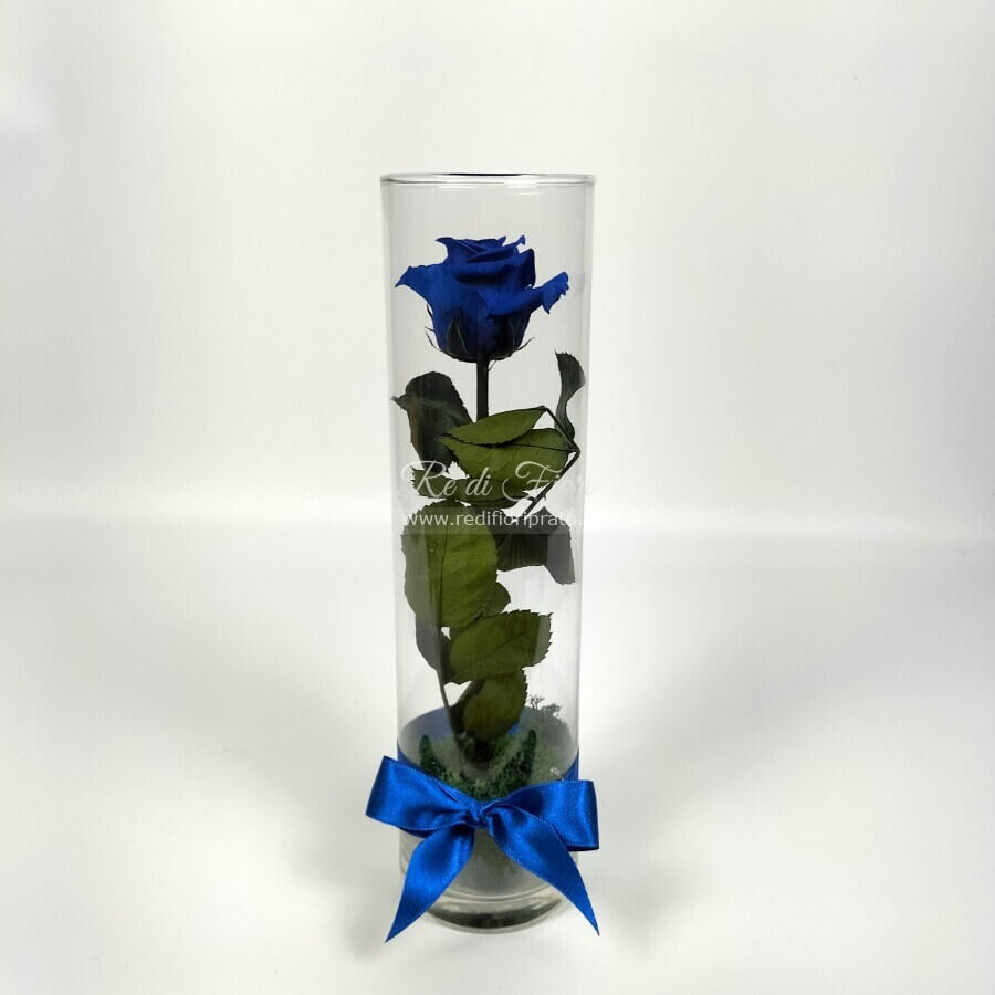 Rosa stabilizzata blu - vaso cilindro Rosa stabilizzata blu - vaso cilindro
