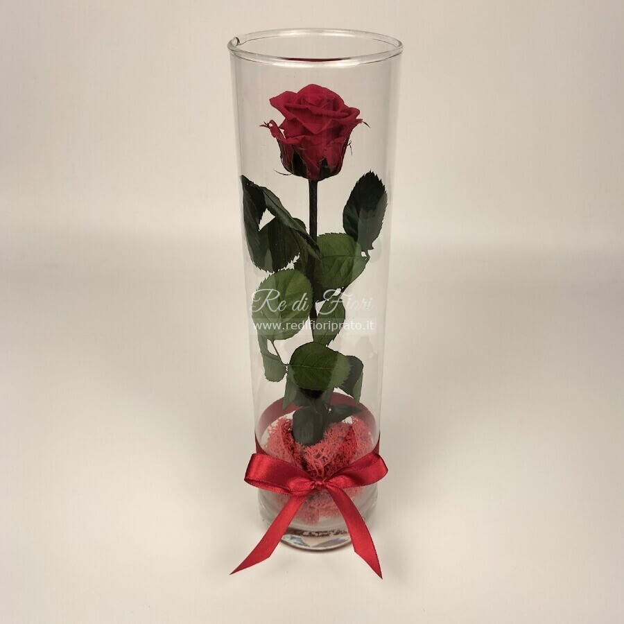 Rosa stabilizzata rossa - cilindro di vetro Rosa stabilizzata rossa - cilindro di vetro