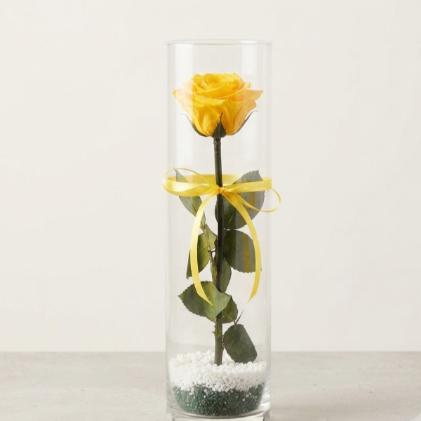 Rosa stabilizzata gialla - vaso cilindro