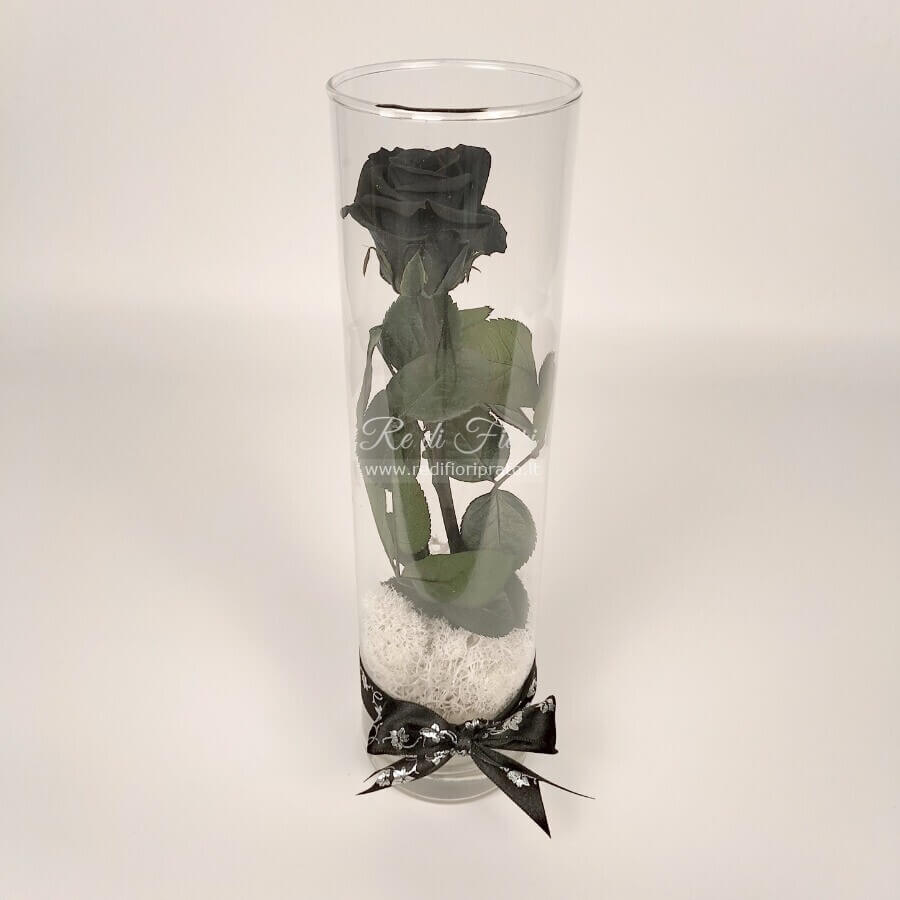 Rosa stabilizzata nera - vaso cilindro Rosa stabilizzata nera - vaso cilindro