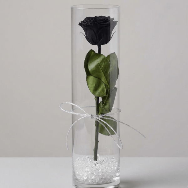 Rosa stabilizzata nera - vaso cilindro