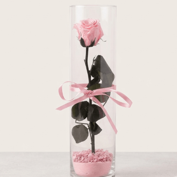 Rosa stabilizzata rosa - vaso cilindro