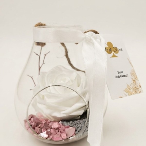 Lanterna con Rosa Premium stabilizzata