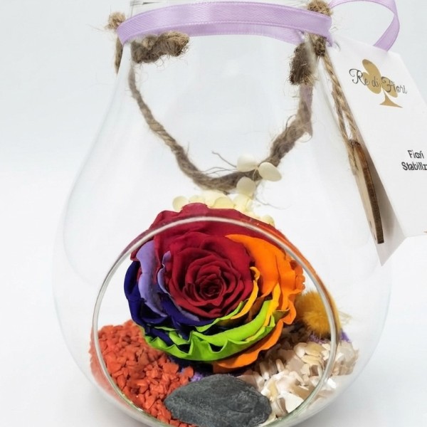 Lanterna con rosa arcobaleno stabilizzata