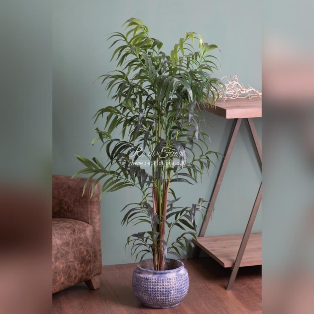 Kenzia/150 Kenzia/150