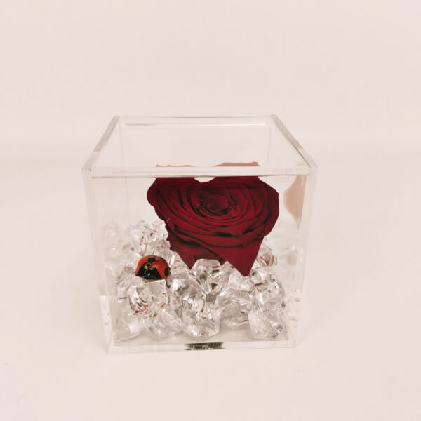 Rosa-cuore - cubo plexi Rosa-cuore - cubo plexi