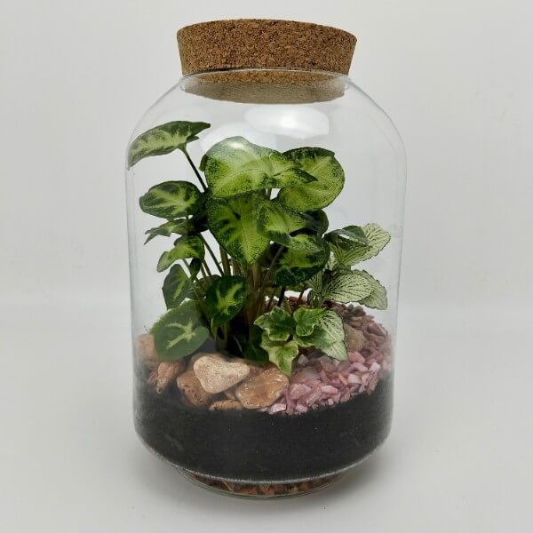 Terrario serie BA - M 1 Terrario serie BA - M 1