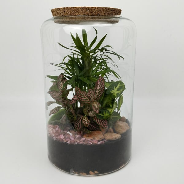 Terrario serie BA - L 1 Terrario serie BA - L 1