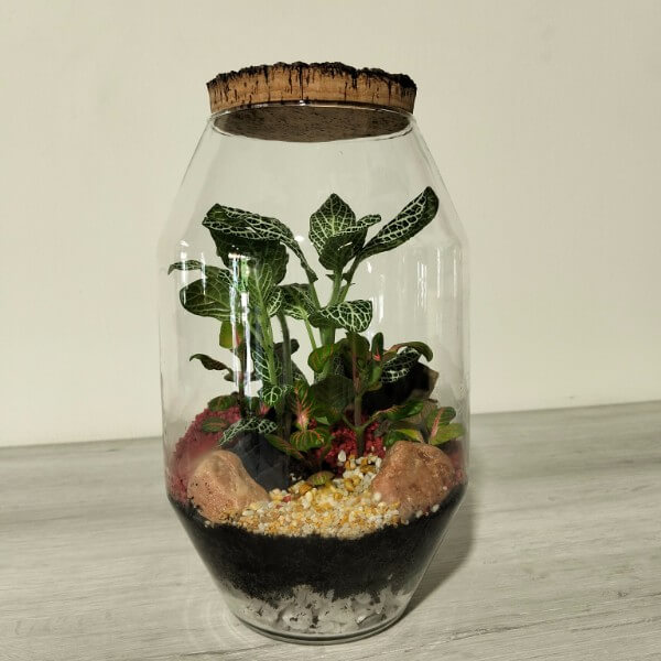 Terrario serie BA - M4 Terrario serie BA - M4