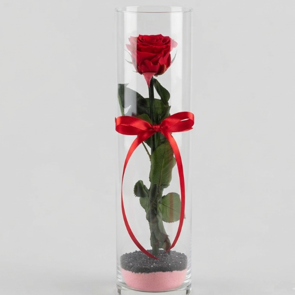 Rosa rossa stabilizzata + vaso cilindro grande