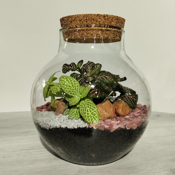 Terrario FIASC cm.  21 x 17